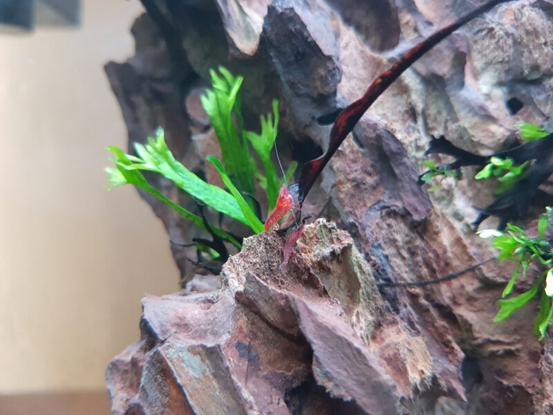 20180409_113923.jpg