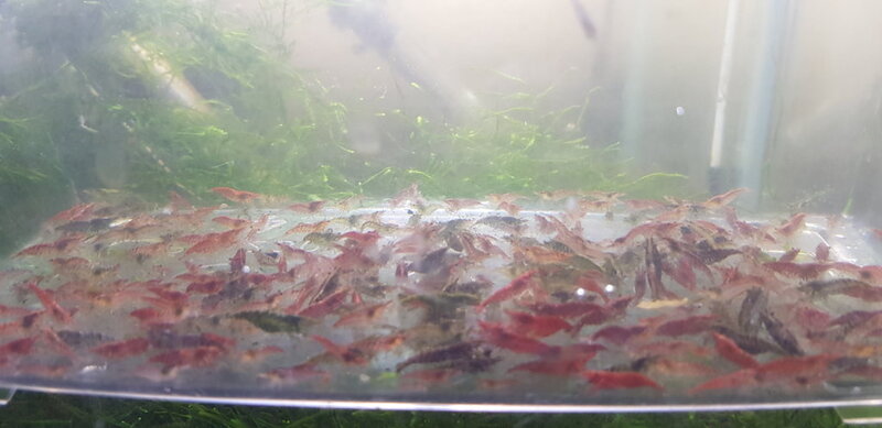 20180601_114947.jpg