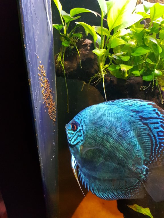 20180719_163020.jpg