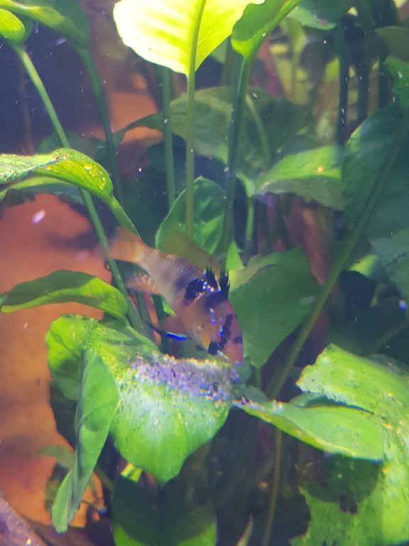 20180725_170703.jpg