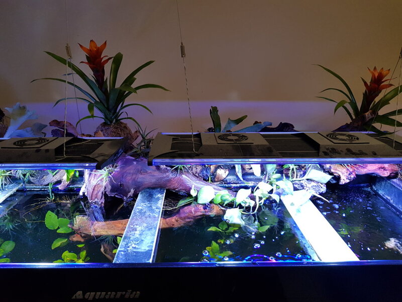 20180804_155140.jpg