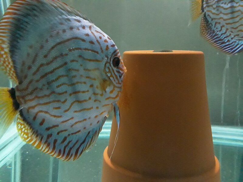 20181002_200032.jpg