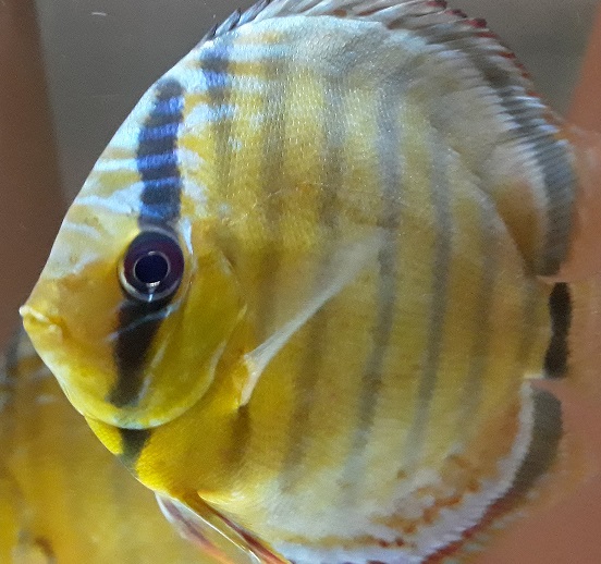 20181015_204140.jpg