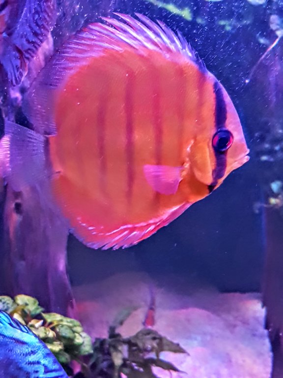 20181104_183821~2.jpg