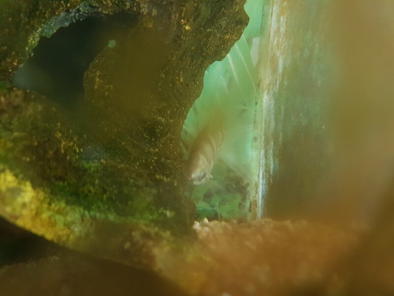 20181108_164818.jpg