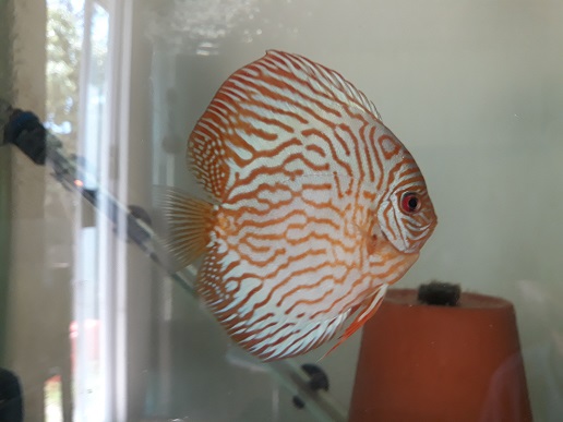 20181111_134312.jpg