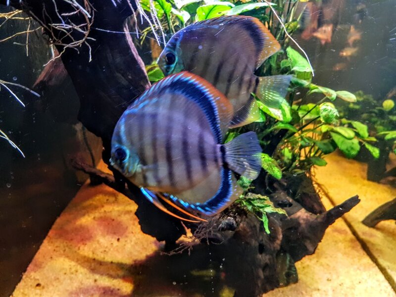 20181115_171108~2.jpg