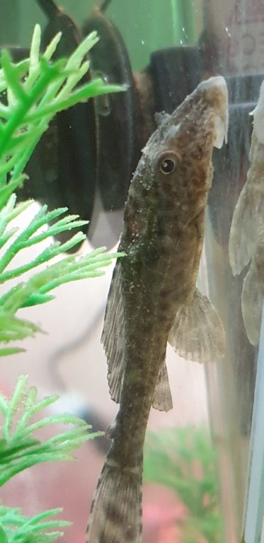 20190131_175416.jpg