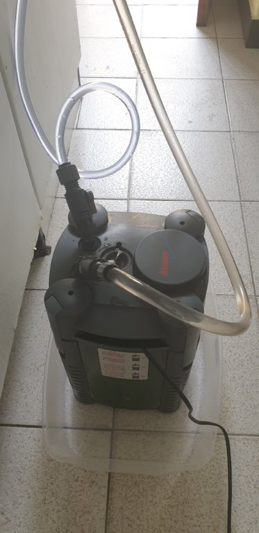 20190202_100043.jpg