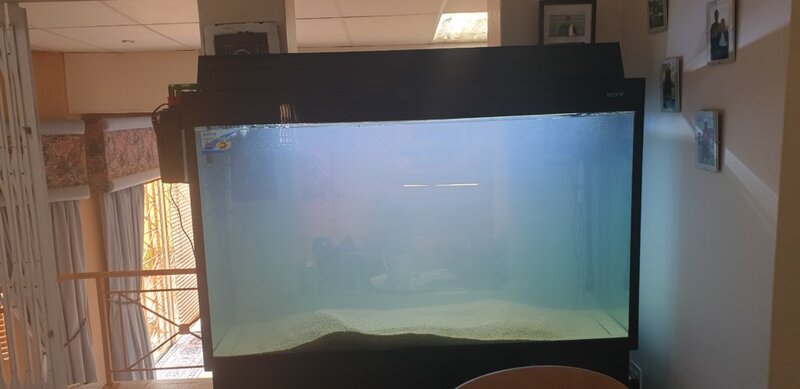 20190202_100158.jpg