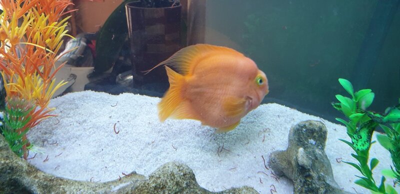 20190205_090159.jpg