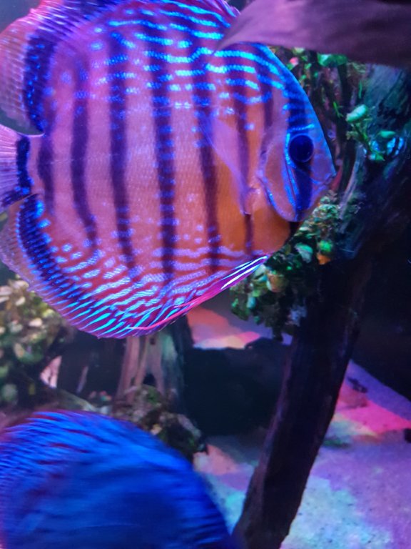 20190322_192414~2.jpg