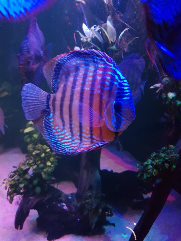 20190322_192425.jpg