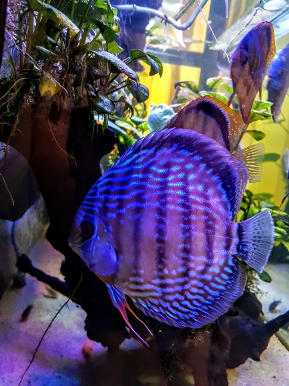20190324_113719~2.jpg
