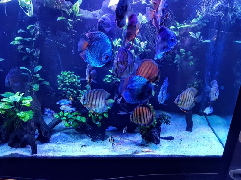 20190329_180700~2.jpg