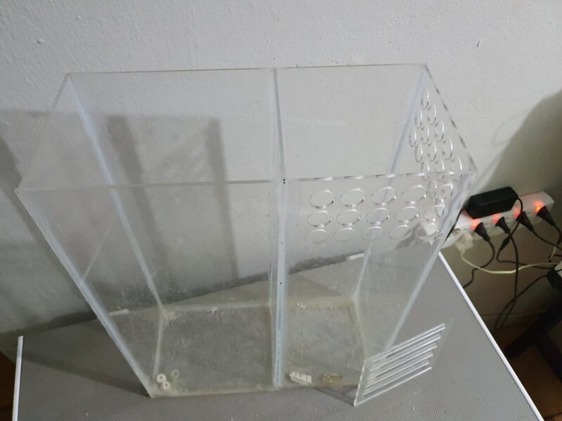 20190415_201507.jpg