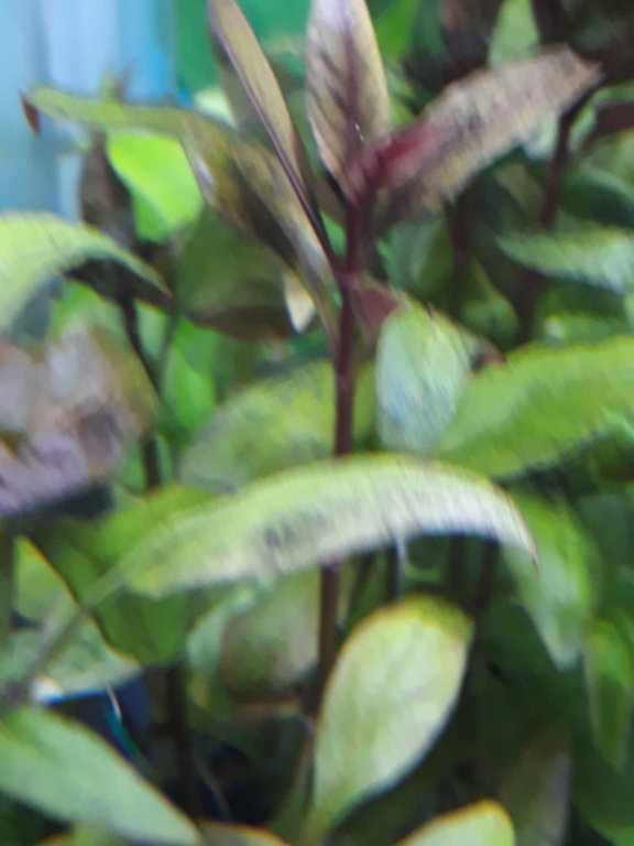 20190425_194939.jpg