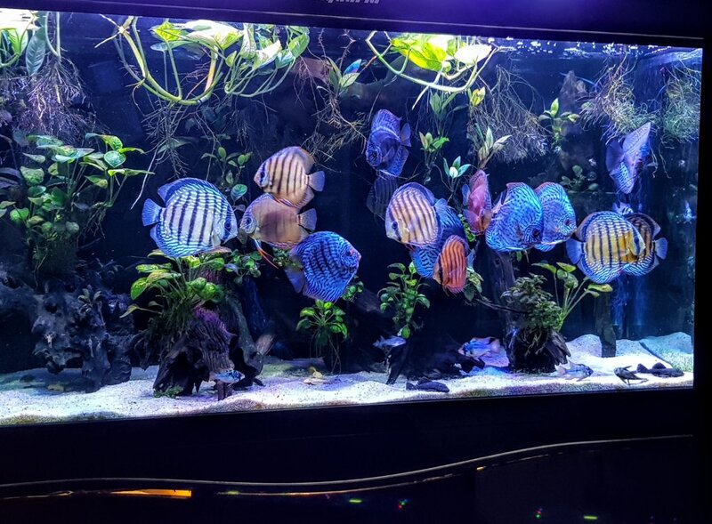 20190427_165601~2.jpg