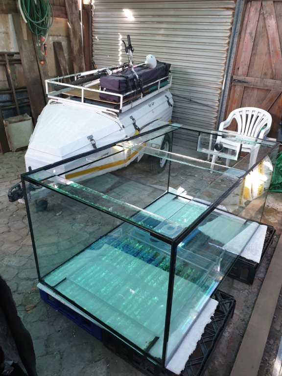 20190516_111430.jpg