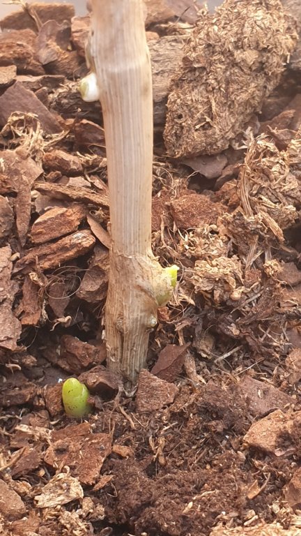 20190527_111953.jpg