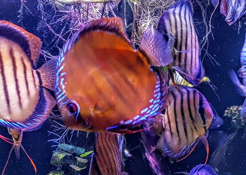 20190609_180854~4.jpg