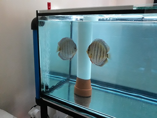 20190611_140335.jpg