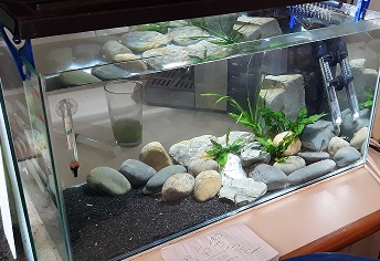 20190613_144229.jpg