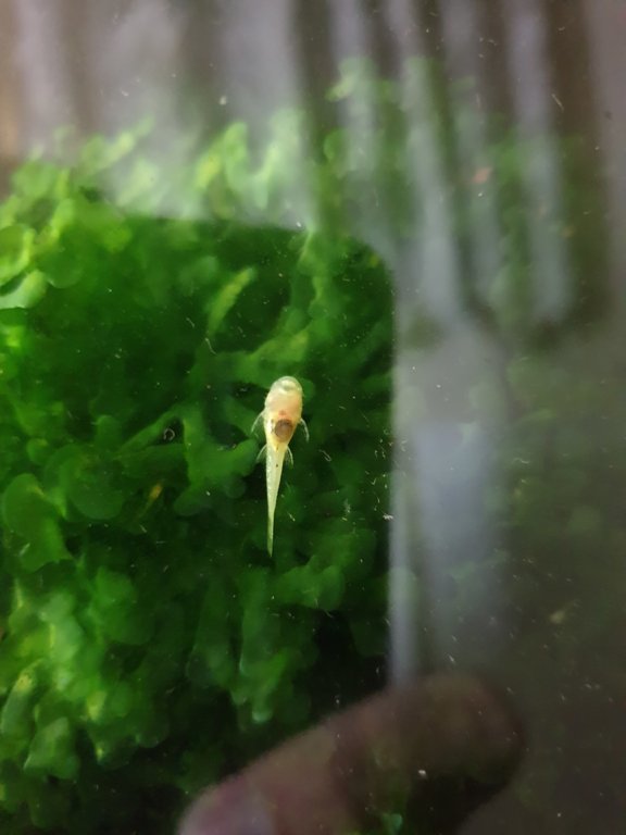 20190617_210146.jpg