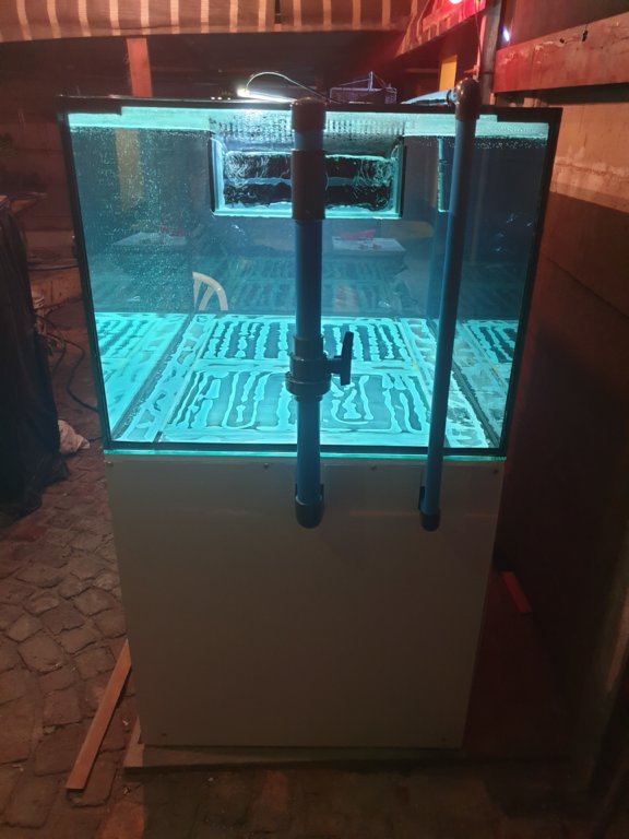 20190619_201537.jpg