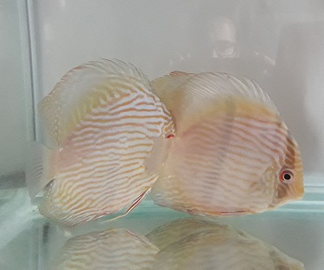 20190716_115050.jpg