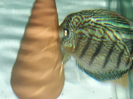 20190725_183436.jpg
