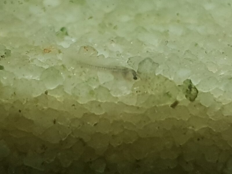 20190909_131238.jpg