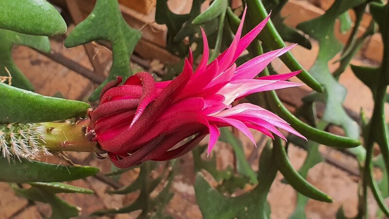 20191108_144952.jpg