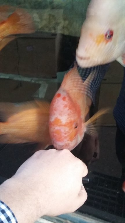 20191112_154342.jpg