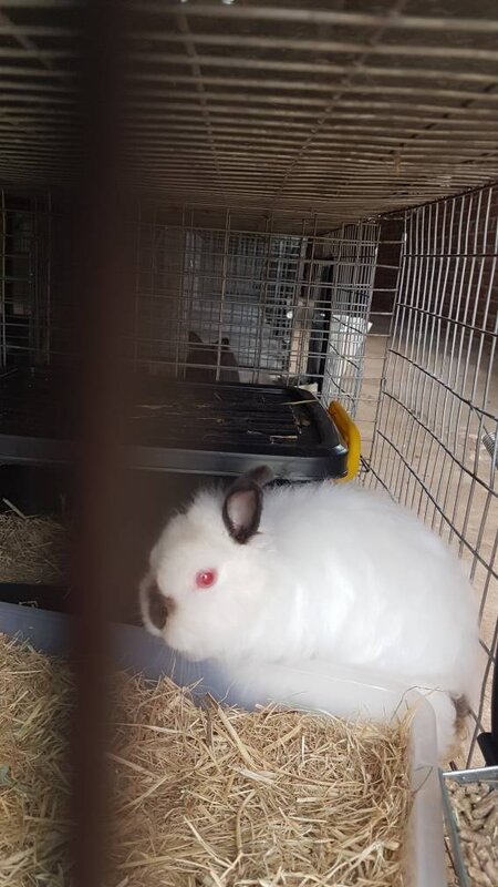 20201002_114015.jpg