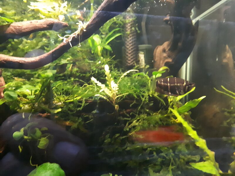20201227_064342[1].jpg