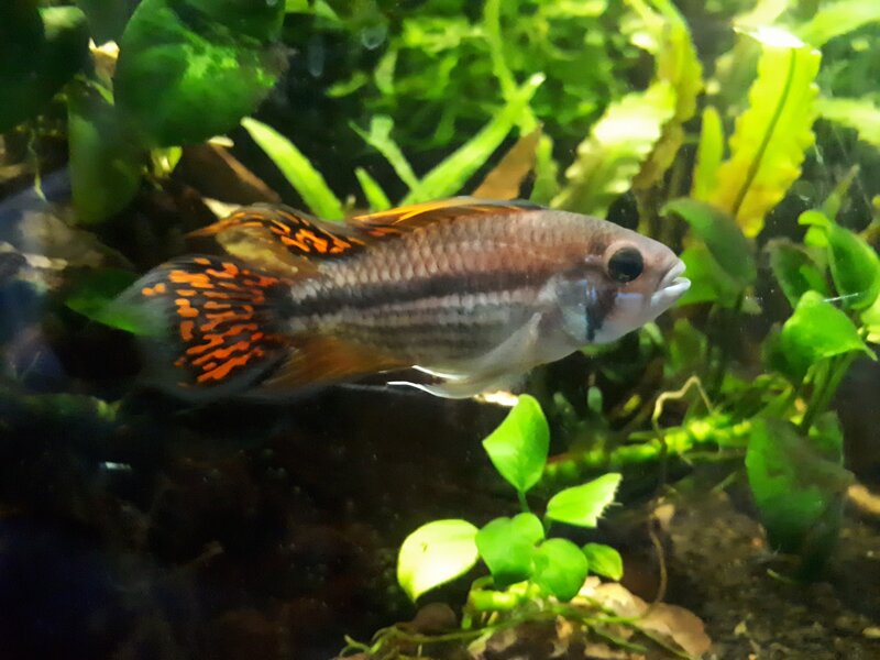 20201227_064412[1].jpg