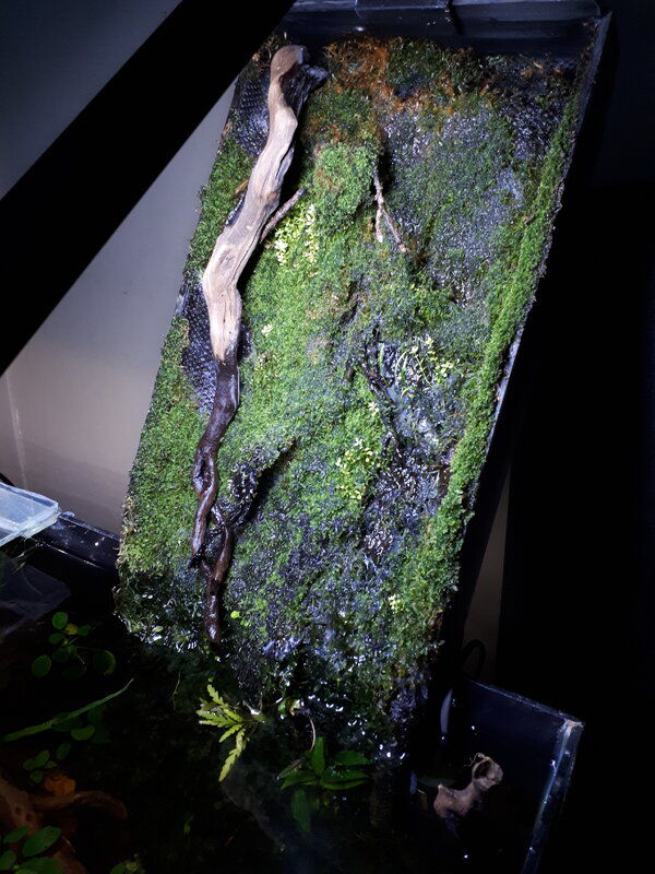 20201227_064459[1].jpg