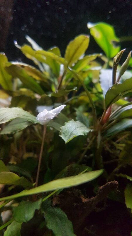 20210119_154041.jpg