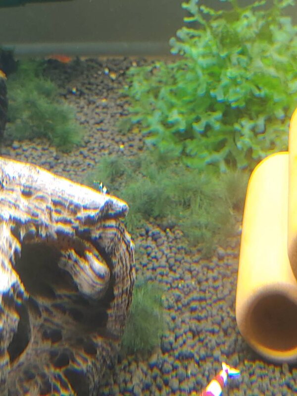 20210202_183610.jpg