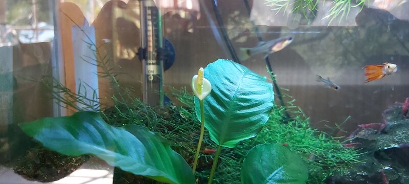 20210920_153433.jpg