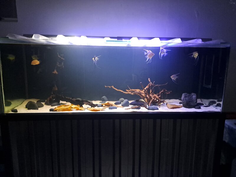20230527_202037.jpg