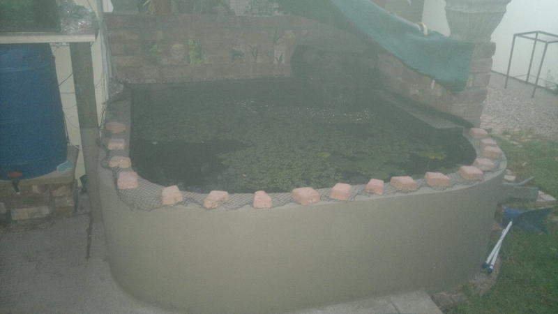 22022012348.jpg