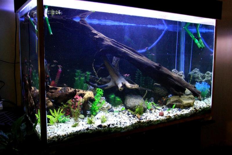 238.jpg