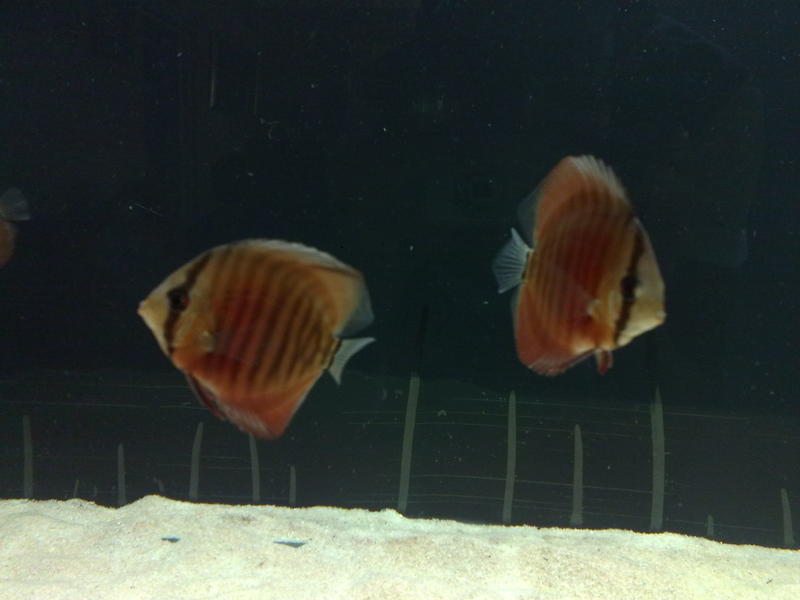 24122011695.jpg