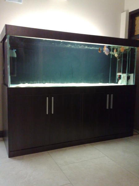 24122011697.jpg