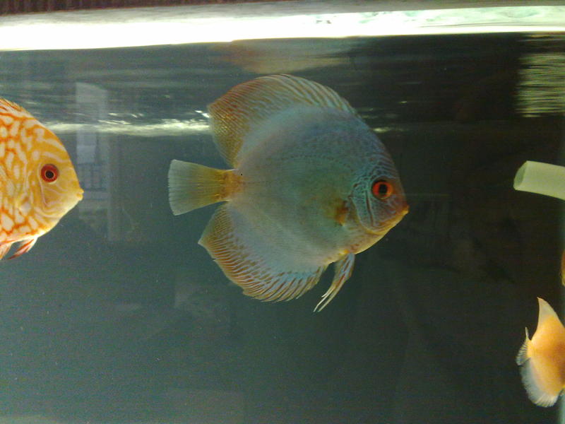 24122011701.jpg
