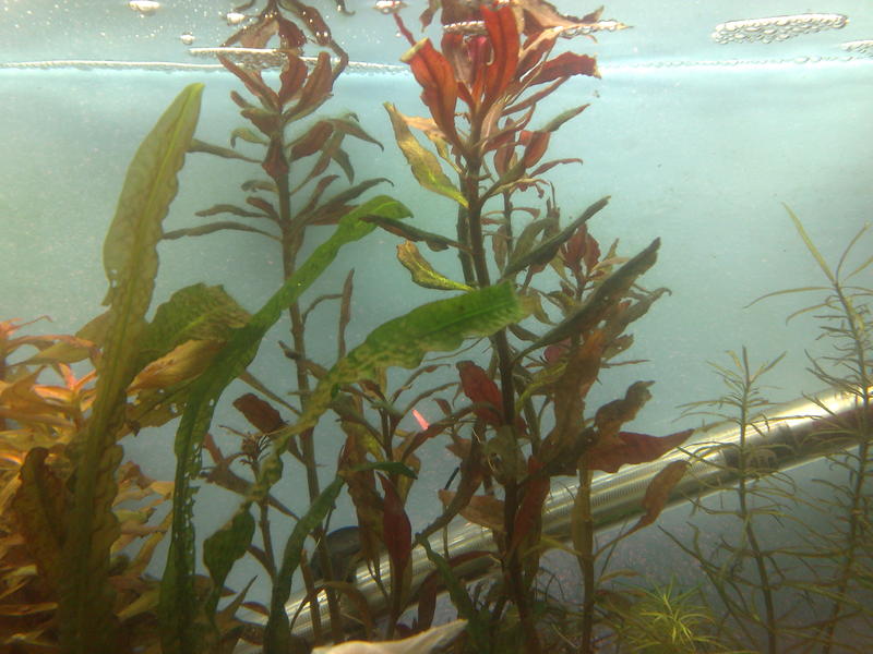 27022010137.jpg