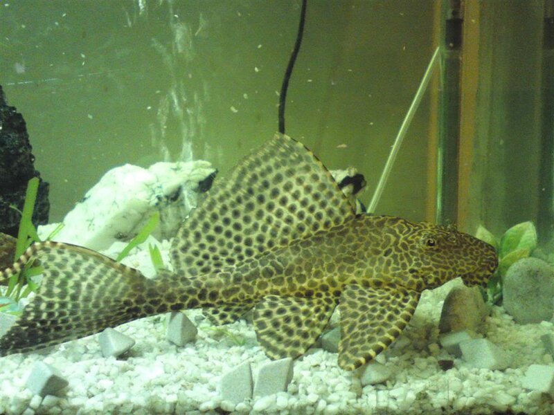 286038_10150268705778435_5355975_o.jpg