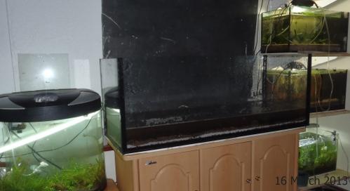 4ft-clear-05.jpg